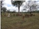 124 Thunder Creek Road, Calgoa QLD 4570