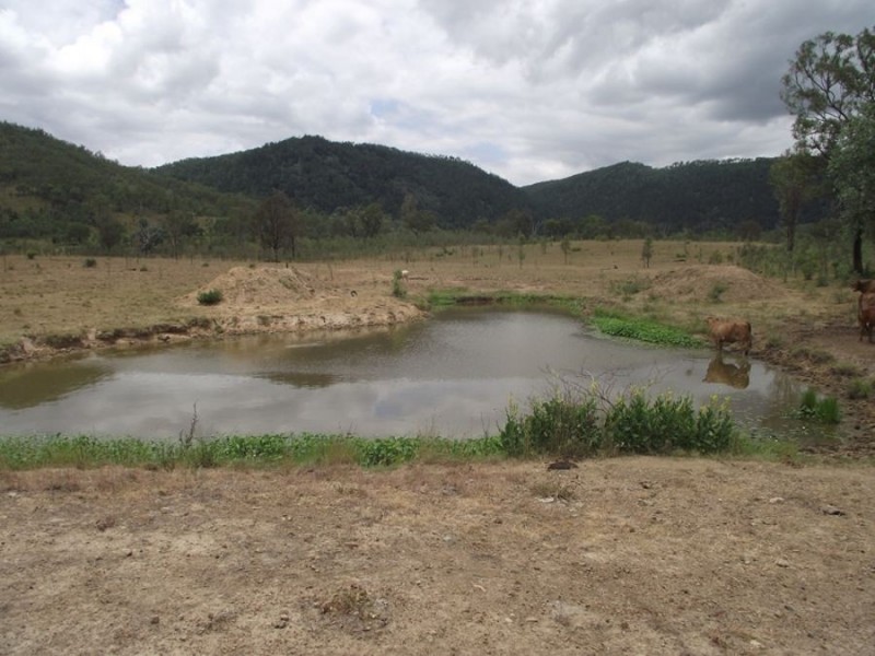 124 Thunder Creek Road, Calgoa QLD 4570