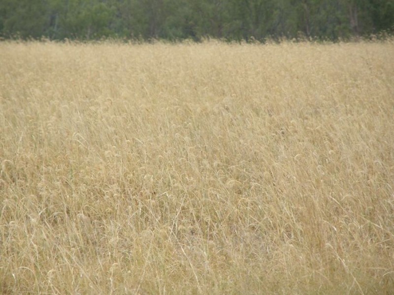 193 Robin and Lee Road, Booie QLD 4610