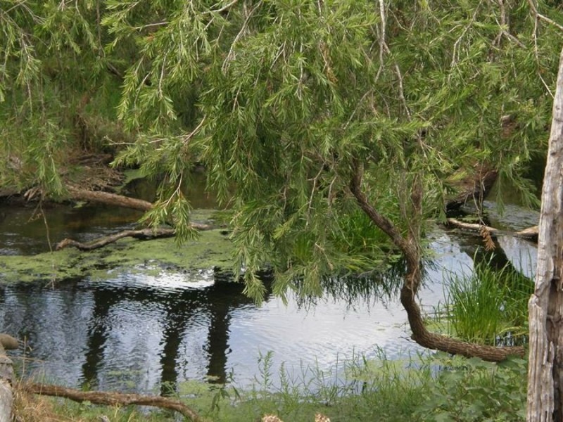 193 Robin and Lee Road, Booie QLD 4610