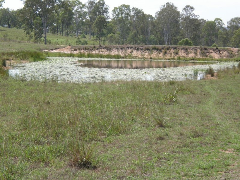 Lower Wonga QLD 4570