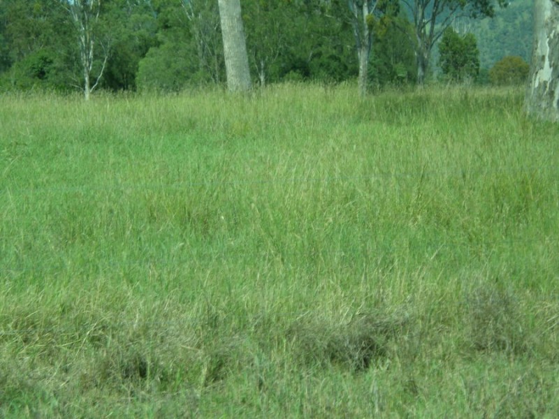 Lower Wonga QLD 4570