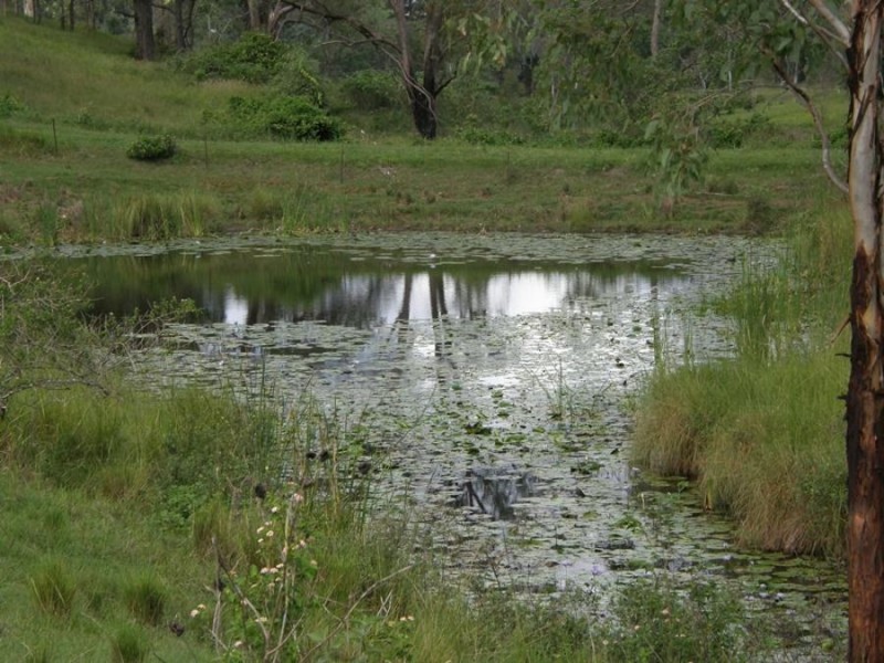 Langshaw QLD 4570
