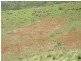 Langshaw QLD 4570
