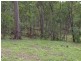 Lot 32 25 Abbott Road, Glenwood QLD 4570
