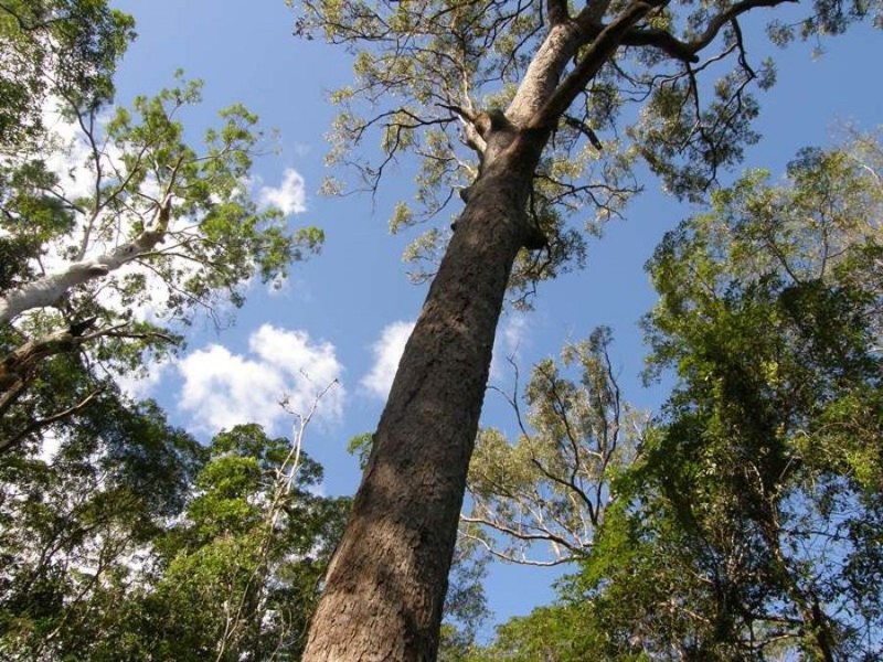 Lot 1 Fishermans Pocket Rd, Fishermans Pocket QLD 4570