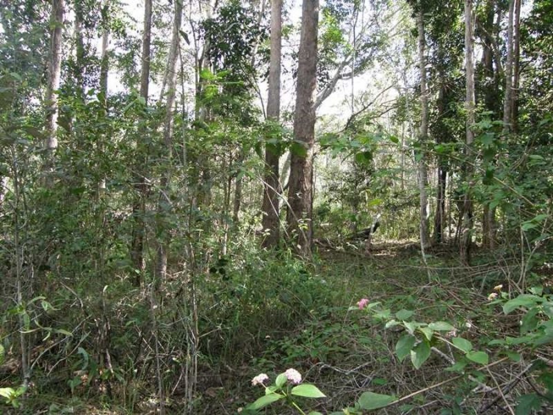 Lot 1 Fishermans Pocket Rd, Fishermans Pocket QLD 4570