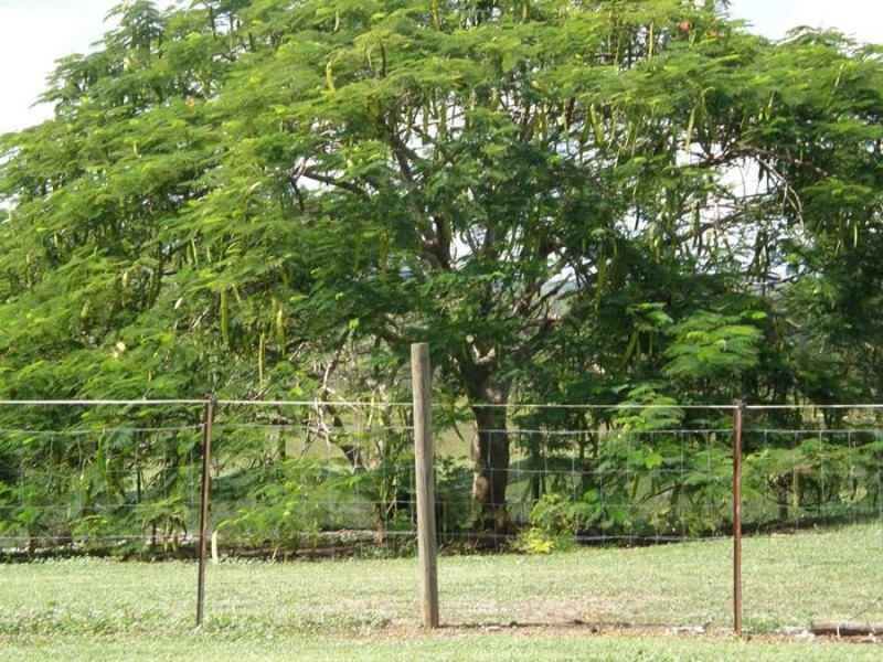 Biggenden QLD 4621