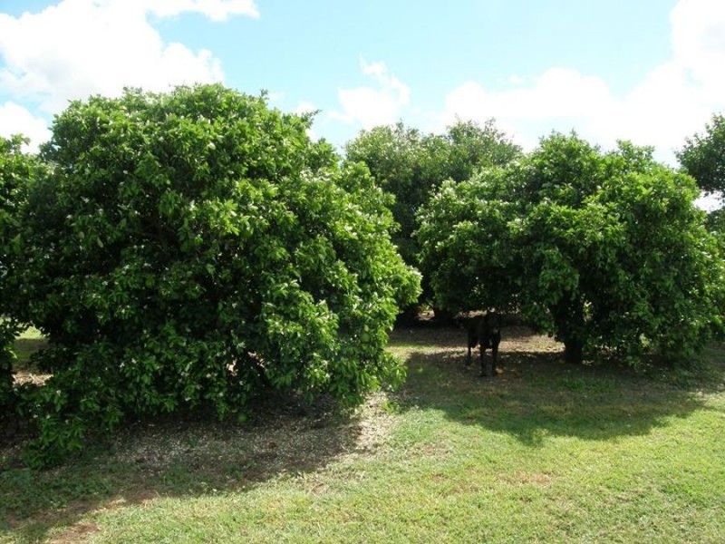 Biggenden QLD 4621