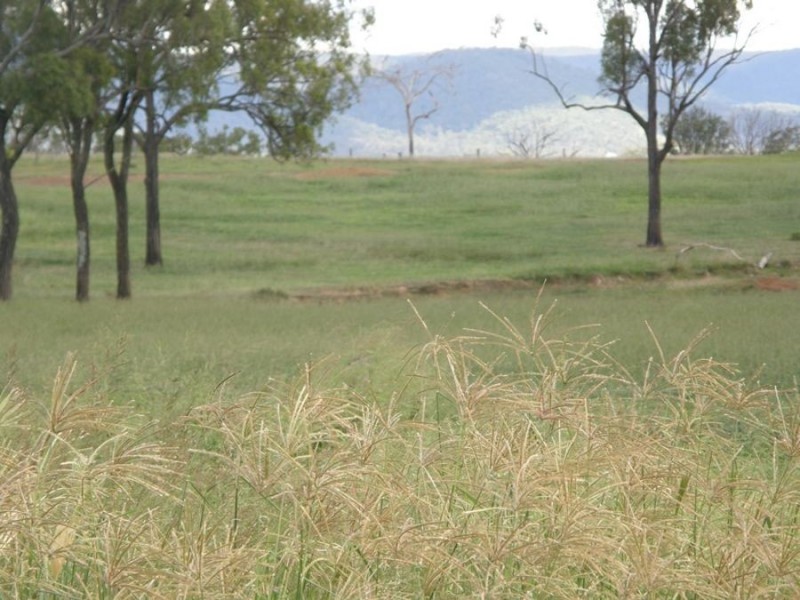 Biggenden QLD 4621