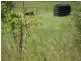 Biggenden QLD 4621