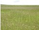 Biggenden QLD 4621