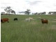 Biggenden QLD 4621
