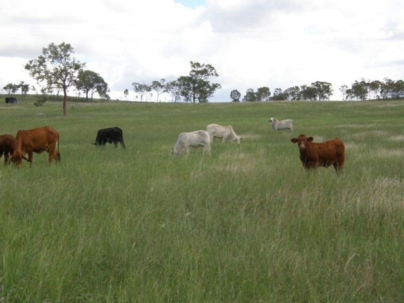 Biggenden QLD 4621