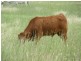 Biggenden QLD 4621