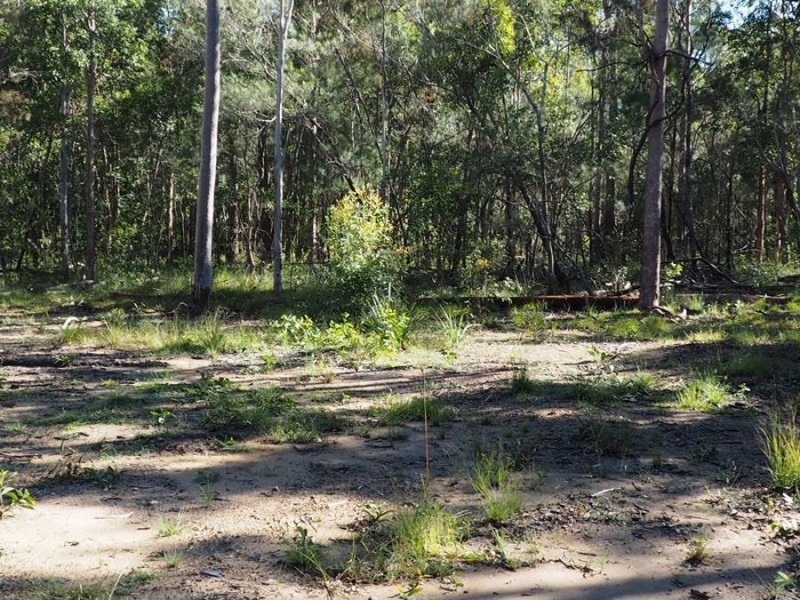 Lot 21 Counter Road, Wolvi QLD 4570