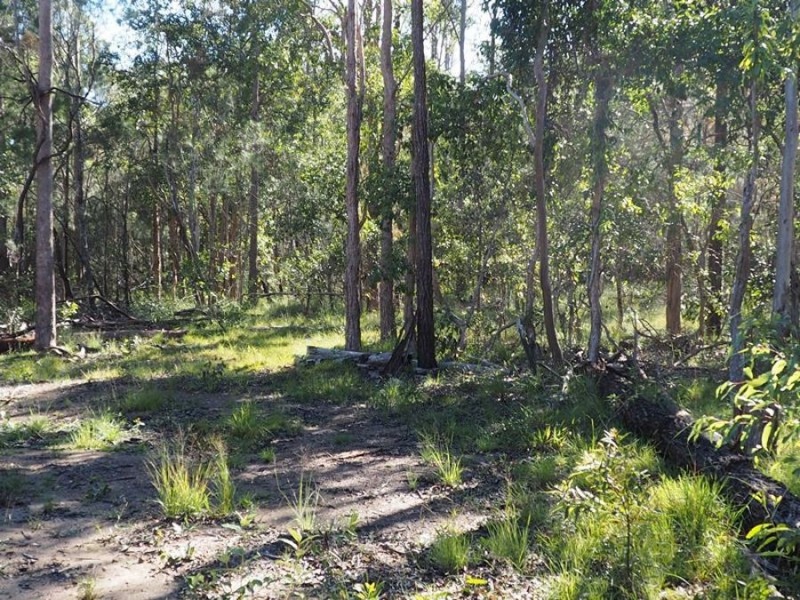 Lot 21 Counter Road, Wolvi QLD 4570