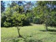 206 Banks Pocket Road, Araluen QLD 4570