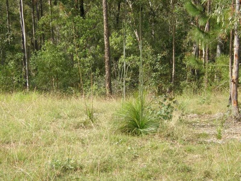 Lot 182 Arborfive Road, Glenwood QLD 4570