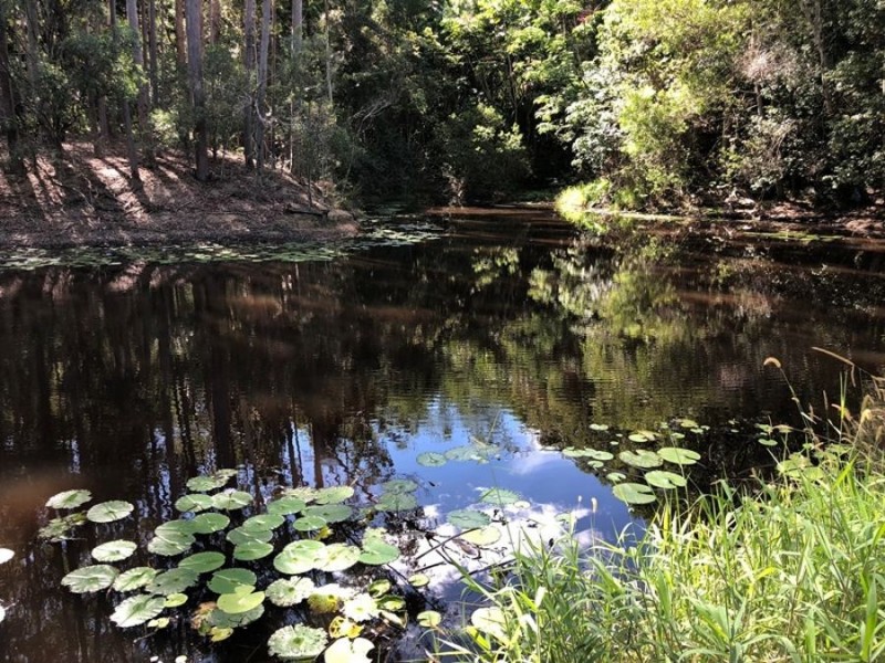 1033 Cedar Pocket Road, Cedar Pocket QLD 4570