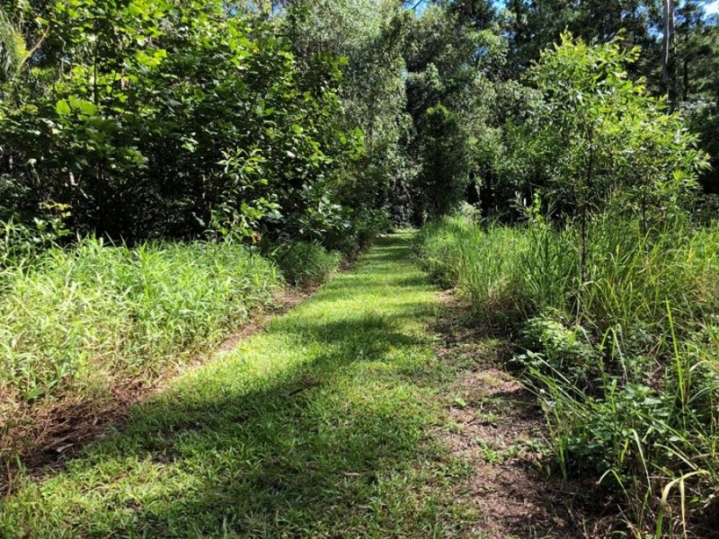 1033 Cedar Pocket Road, Cedar Pocket QLD 4570