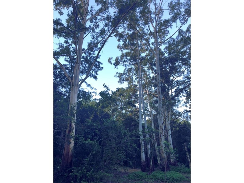 1033 Cedar Pocket Road, Cedar Pocket QLD 4570