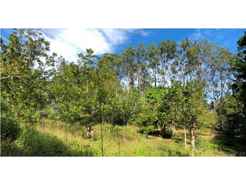 1033 Cedar Pocket Road, Cedar Pocket QLD 4570