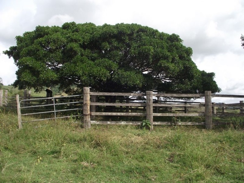 990 & 1020 Mary Valley Road, Gilldora QLD 4570