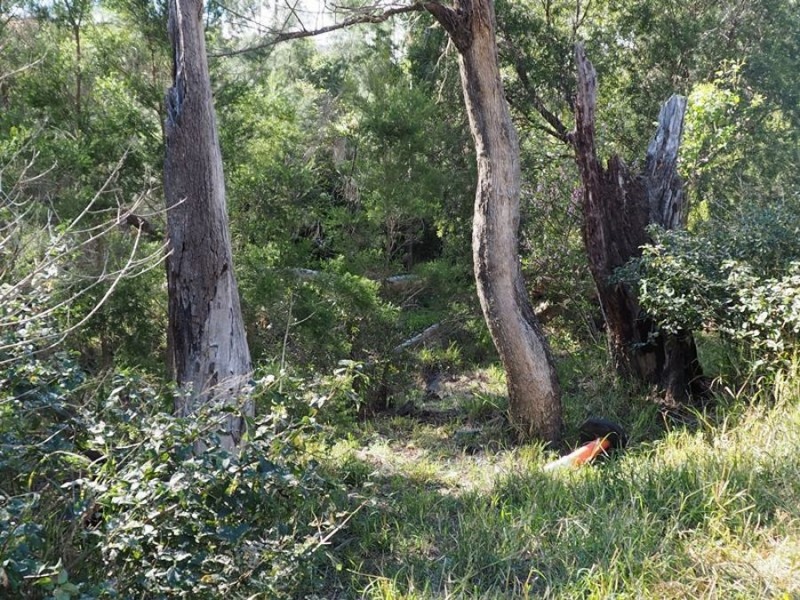 628 Rossmore Road, Kilkivan QLD 4600