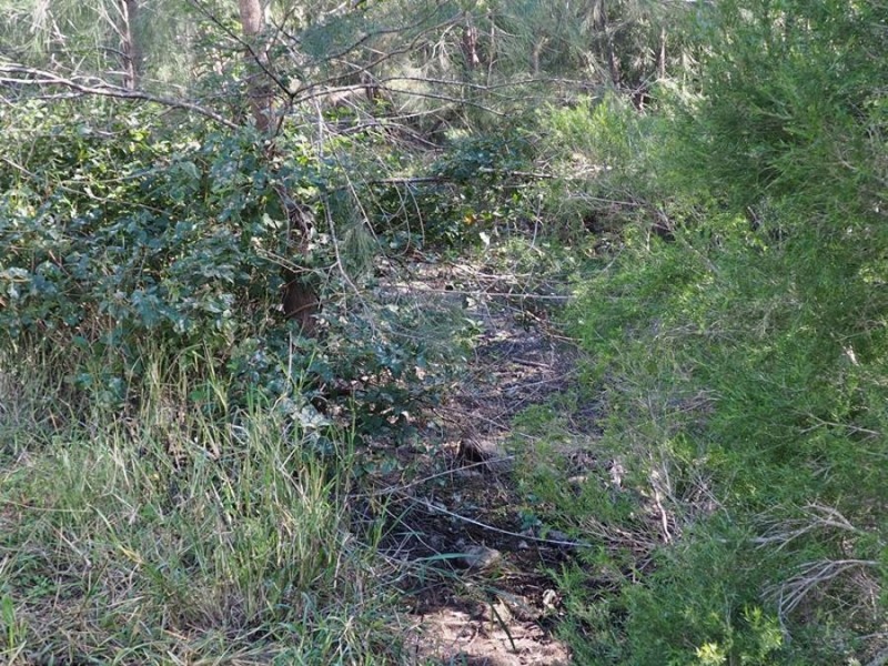 628 Rossmore Road, Kilkivan QLD 4600