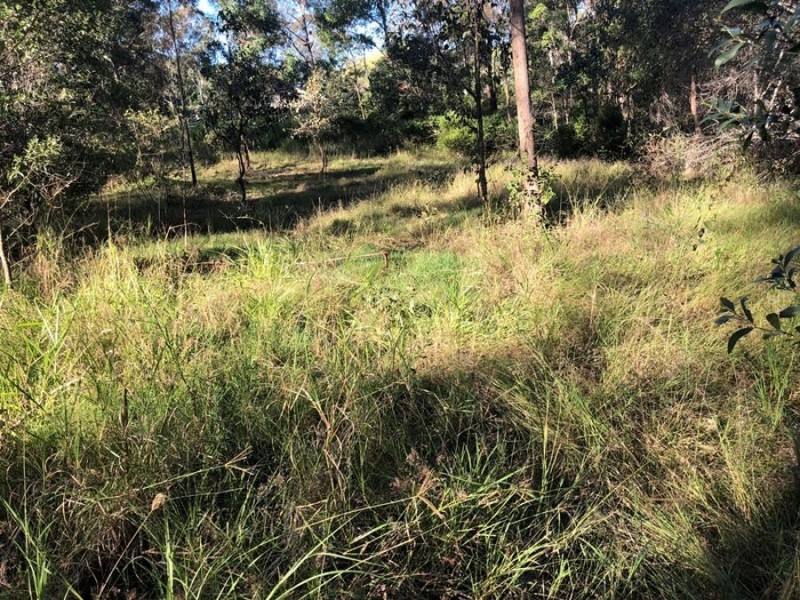 181 Fishermans Pocket No 1 Road, Chatsworth QLD 4570