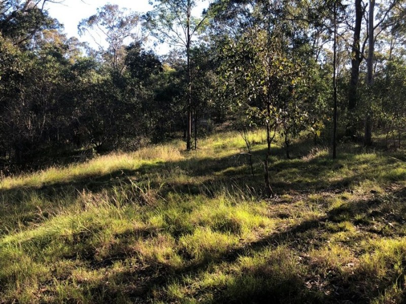 181 Fishermans Pocket No 1 Road, Chatsworth QLD 4570