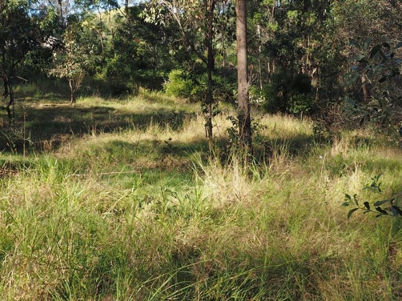 181 Fishermans Pocket No 1 Road, Chatsworth QLD 4570