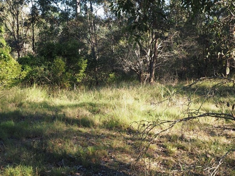 181 Fishermans Pocket No 1 Road, Chatsworth QLD 4570