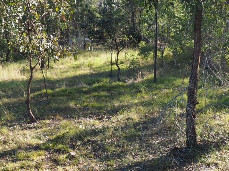 181 Fishermans Pocket No 1 Road, Chatsworth QLD 4570