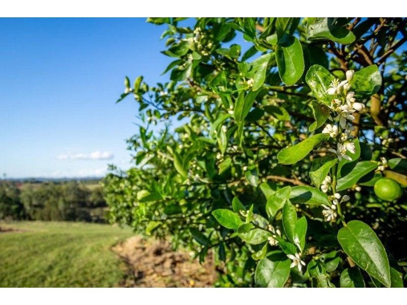 49 Blackgate Road, Amamoor QLD 4570