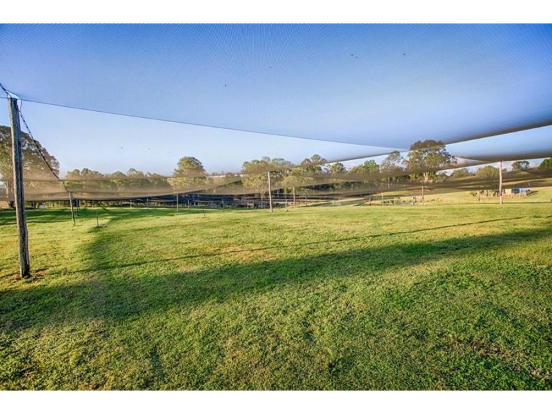 49 Blackgate Road, Amamoor QLD 4570