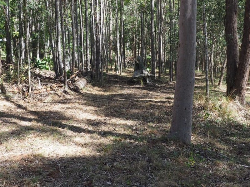 23 Sunrise Road, Glenwood QLD 4570