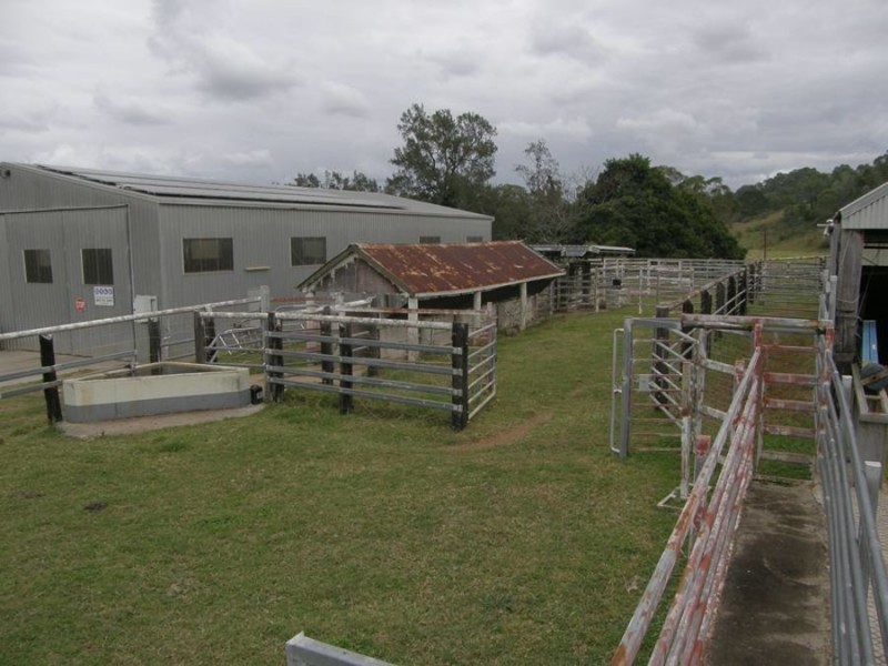 1532 Kandanga Creek Road, Upper Kandanga QLD 4570