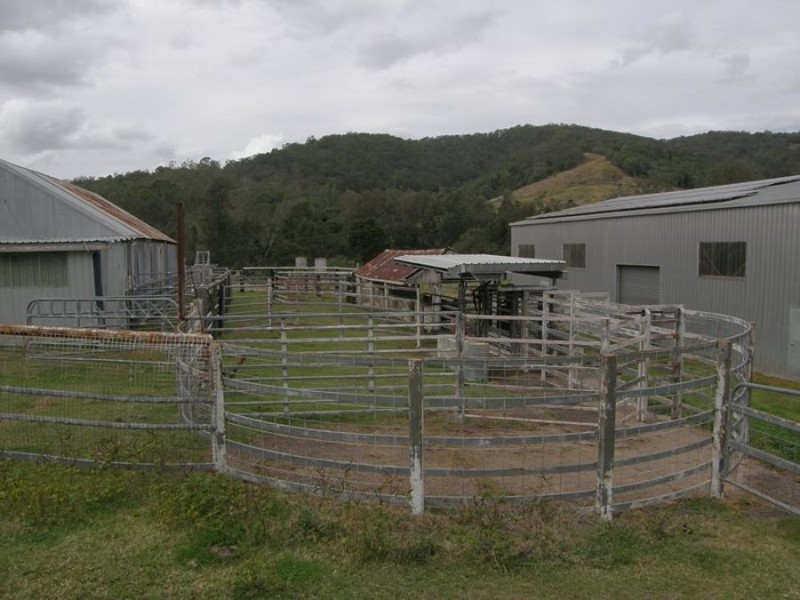 1532 Kandanga Creek Road, Upper Kandanga QLD 4570