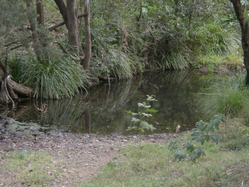 1532 Kandanga Creek Road, Upper Kandanga QLD 4570