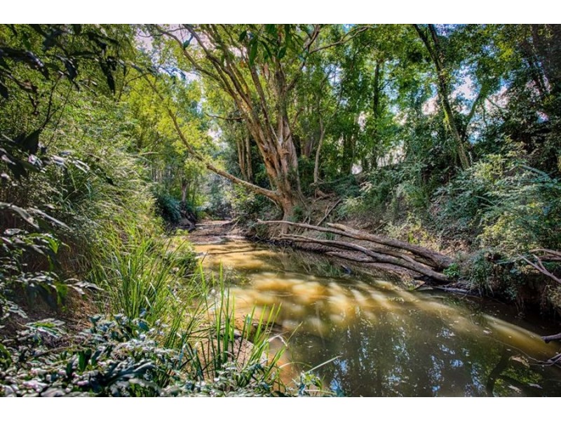 454 Randwick Road, East Deep Creek QLD 4570