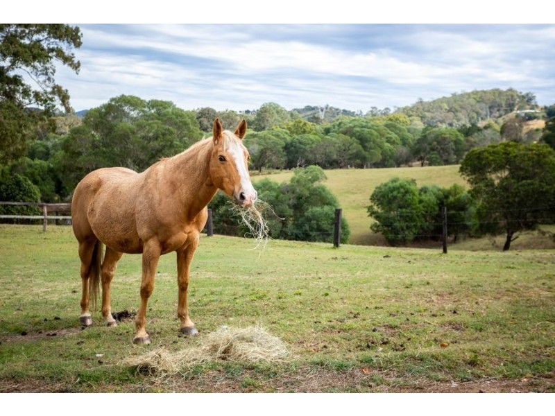 157 Traveston Road, Traveston QLD 4570