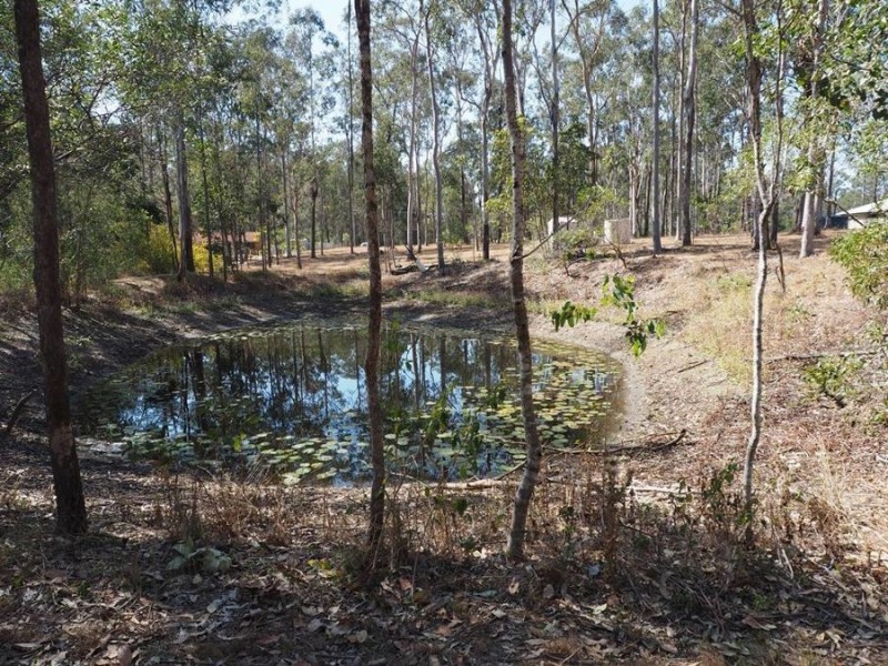 Lot 496 Arborseventeen Road, Glenwood QLD 4570