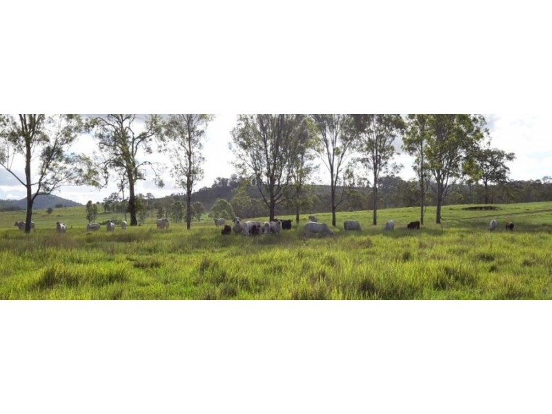 191 Hayes Road, Lower Wonga QLD 4570