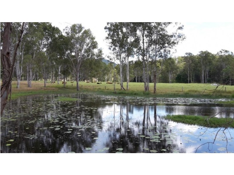 191 Hayes Road, Lower Wonga QLD 4570