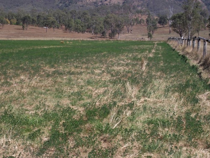 176 Pike Road, Woolooga QLD 4570