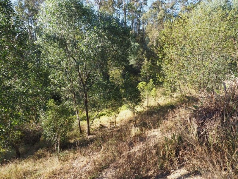 635 Old Maryborough Road, Chatsworth QLD 4570