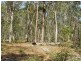 67 Avin Road, Magnolia QLD 4650