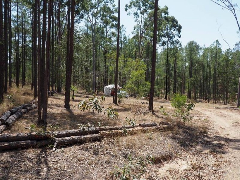 Lot 810 Arborthirty-one Road, Glenwood QLD 4570